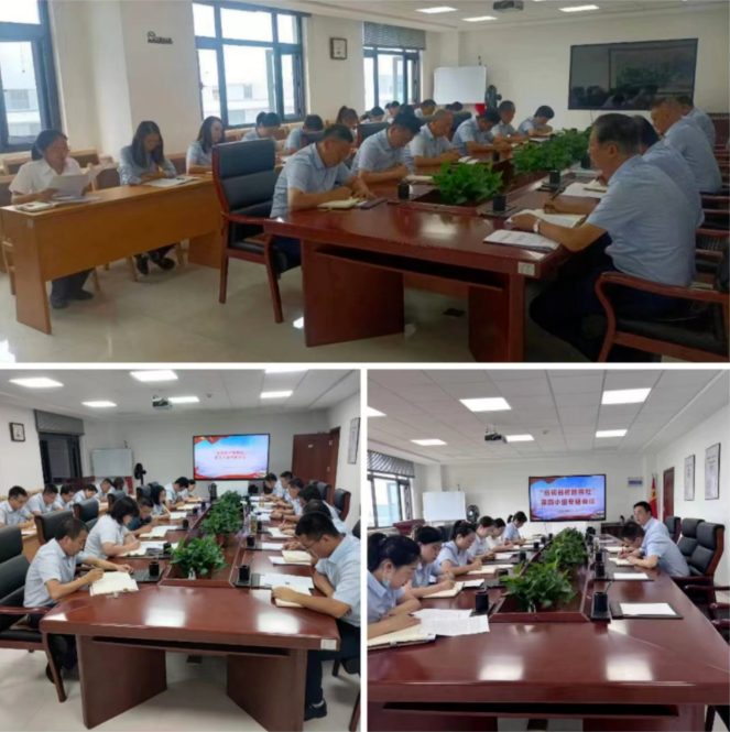 深刻剖析轉作風 全面檢視促提升——市產(chǎn)投集團扎實開展“檢視剖析除病灶”活動(圖2) 深刻剖析轉作風 全面檢視促提升——市產(chǎn)投集團扎實開展“檢視剖析除病灶”活動(圖2)